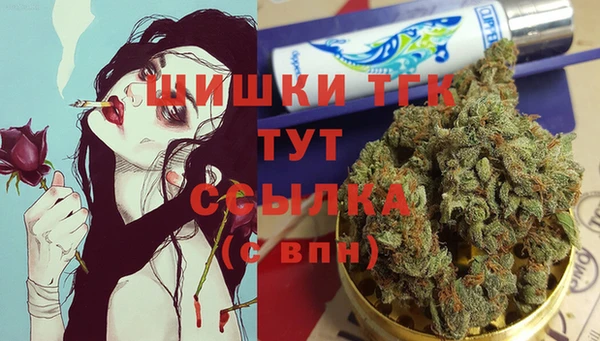 спиды Пестово