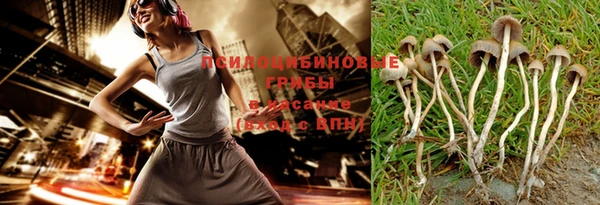 стафф Переславль-Залесский