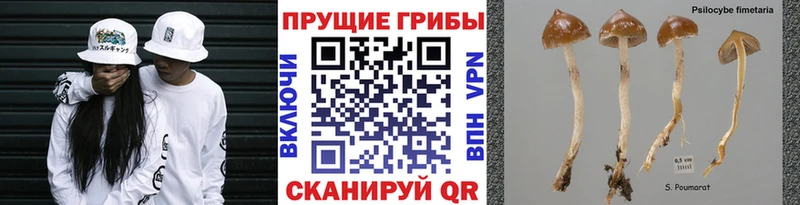 Галлюциногенные грибы мухоморы Красноперекопск