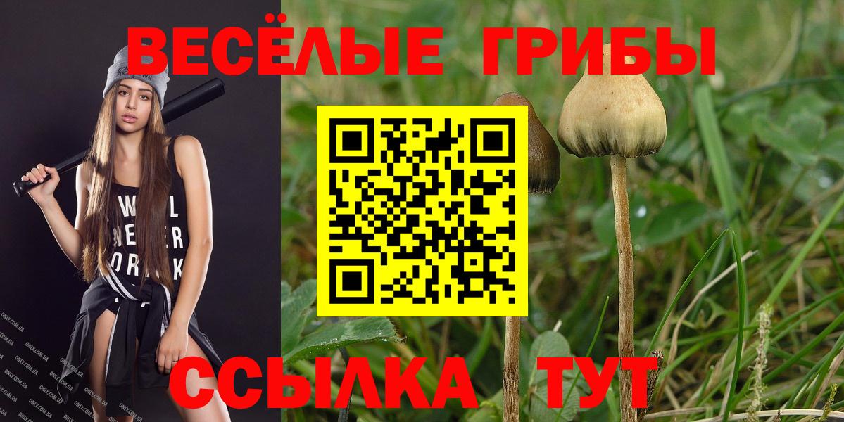 Псилоцибиновые грибы GOLDEN TEACHER  Псилоцибиновые грибы Psilocybe  Вход с VPN  Красноперекопск 